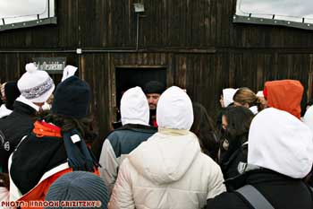 IMG_ (10818)